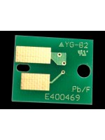 DS2430 - (E400469) Virgin Chip